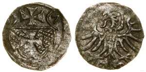 Poland, denarius, 1557, Elbląg