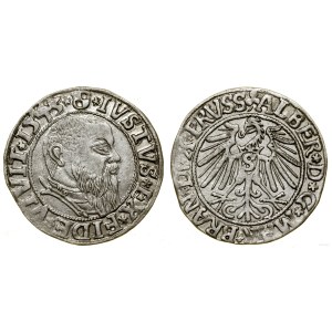 Ducal Prussia (1525-1657), penny, 1543, Königsberg