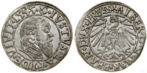 Ducal Prussia (1525-1657), penny, 1545, Königsberg