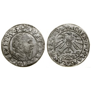 Prusy Książęce (1525-1657), grosz, 1547, Królewiec