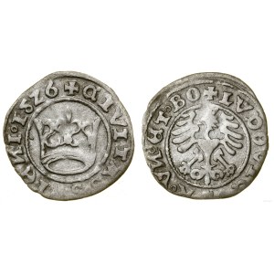 Śląsk, półgrosz miejski, 1526, Świdnica