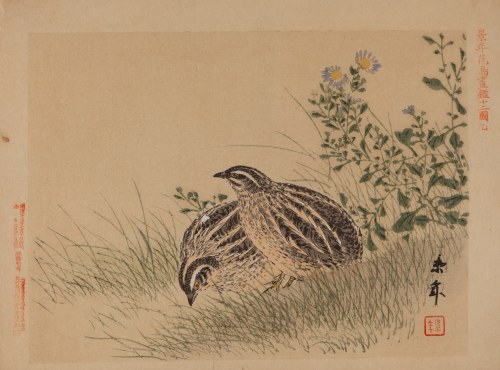 Imao Keinen (1845 - 1924), Przepiórki z albumu 