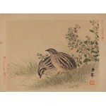 查看相似的