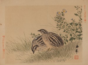 Imao Keinen (1845 - 1924), Quails from the album 