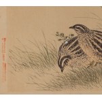 Imao Keinen (1845 - 1924), Przepiórki z albumu Keinen Kachō Gafu, 1892
