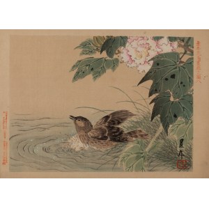 Imao Keinen (1845 - 1924), Kaczka w kąpieli z albumu Keinen Kachō Gafu, 1892
