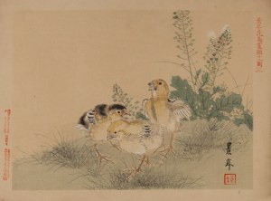 Imao Keinen (1845 - 1924), Chicks from the album 