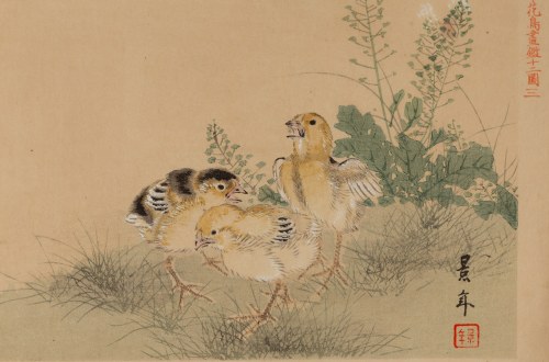 Imao Keinen (1845 - 1924), Pisklęta z albumu 