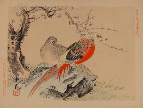 Imao Keinen (1845 - 1924), Bażanty z albumu 