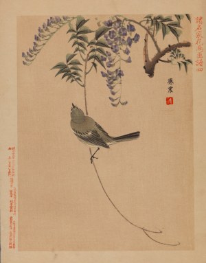 Keibun Matsumura (1779 - 1843), Wierzbówka chińska z albumu 
