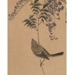 Keibun Matsumura (1779 - 1843), Wierzbówka chińska z albumu Sho Meika Kachō Gafu, 1898