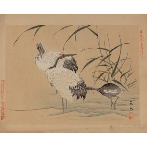 Keibun Matsumura (1779 - 1843), Żurawie z albumu Sho Meika Kachō Gafu, 1898