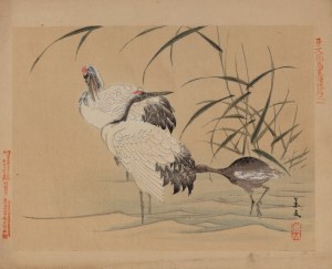 Keibun Matsumura (1779 - 1843), Żurawie z albumu 