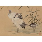 Keibun Matsumura (1779 - 1843), Żurawie z albumu Sho Meika Kachō Gafu, 1898