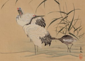 Keibun Matsumura (1779 - 1843), Żurawie z albumu 