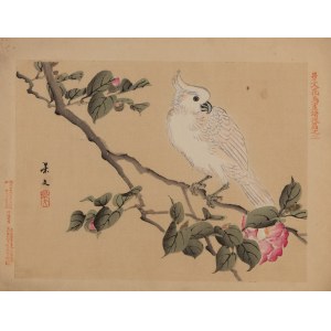 Keibun Matsumura (1779 - 1843), Kakadu biała z albumu Sho Meika Kachō Gafu, 1898