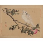 查看相似的