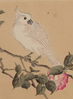 Keibun Matsumura (1779 - 1843), Kakadu biała z albumu 