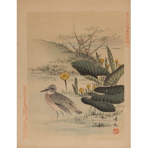 Keibun Matsumura (1779 - 1843), Brodziec z albumu Sho Meika Kachō Gafu, 1898