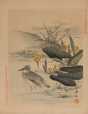 Keibun Matsumura (1779 - 1843), Beard from the album 