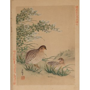 Keibun Matsumura (1779 - 1843), Przepiórki z albumu Sho Meika Kacho Gafu