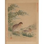 查看相似的