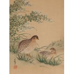 Keibun Matsumura (1779 - 1843), Przepiórki z albumu Sho Meika Kacho Gafu