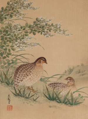 Keibun Matsumura (1779 - 1843), Przepiórki z albumu Sho Meika Kacho Gafu