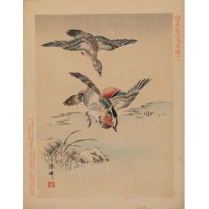 Keibun Matsumura (1779 - 1843), Kaczka mandaryńska z albumu Sho Meika Kachō Gafu, 1898