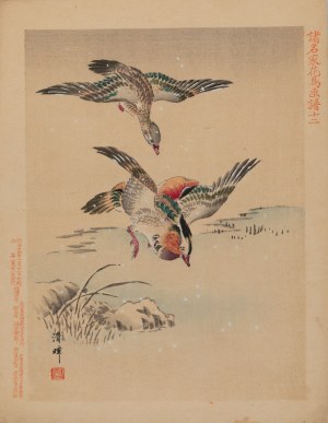 Keibun Matsumura (1779 - 1843), Mandarin Duck from the album 