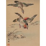 Keibun Matsumura (1779 - 1843), Kaczka mandaryńska z albumu Sho Meika Kachō Gafu, 1898
