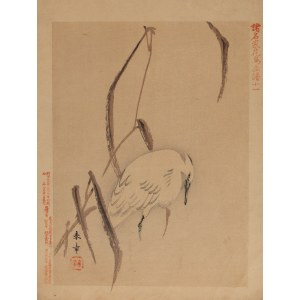 Keibun Matsumura (1779 - 1843), Czapla biała z albumu 