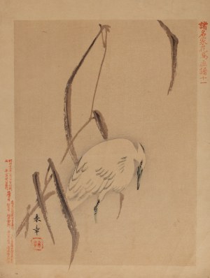 Keibun Matsumura (1779 - 1843), Czapla biała z albumu 