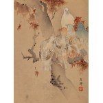 Keibun Matsumura (1779 - 1843), Gołębie i klon z albumu Sho Meika Kachō Gafu, 1898