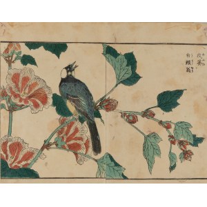 Kitao Shigemasa (1739 - 1820), Bogatka z cyklu Kachō shashin zui, 1819