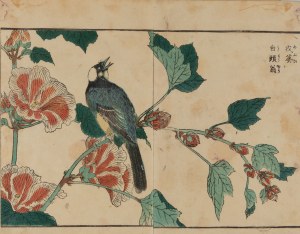 Kitao Shigemasa (1739 - 1820), Rich woman from the series 