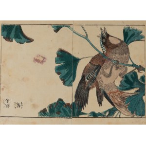 Kitao Shigemasa (1739 - 1820), Wierzbówka z cyklu Kachō shashin zui, 1819