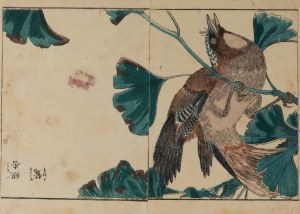 Kitao Shigemasa (1739 - 1820), Willow from the series 
