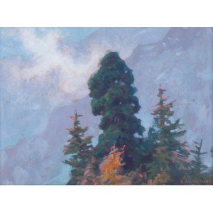 Zefiryn Ćwikliński (1871 - 1930), Limba, 1926 r.