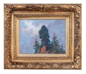 Zefiryn Ćwikliński (1871 - 1930), Limba, 1926.