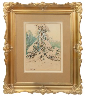 Stanislaw Gibinski (1882-1971), The snowy spruce tree
