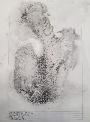 Włodzimierz Pawlak, Ink Drawing