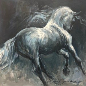 Krzysztof Jarocki, A horse in motion