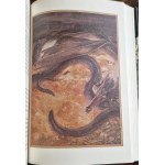 TOLKIEN - HOBBIT Illustrations by ALAN LEE OPTIONS!