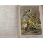 NAUMANN - HISTORIA NATURALNA PTAKÓW / Naturgeschichte der Vögel 449 LITOGRAFII