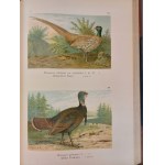 NAUMANN - HISTORIA NATURALNA PTAKÓW / Naturgeschichte der Vögel 449 LITOGRAFII