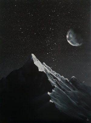 Kowalczyk Dorota, Silence speaks by night, 2025