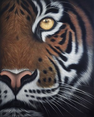 Wróblewska Paulina, Ameer from the Wild Eyes series, 2025