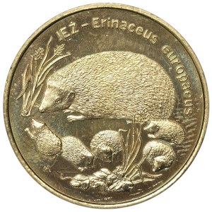 III RP, 2 złote 1996, Jeż
