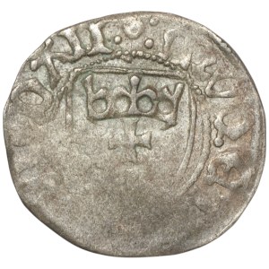 Casimir Jagiellonian, Shelly without date, Gdansk